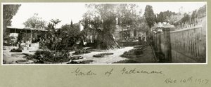 Jardin de Gethsémani, 14 décembre 1917 - Capt. Arthur Rhodes