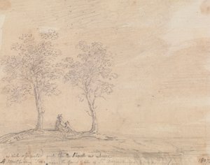 Un mûrier près de la grande porte du monastère de Saint-Augustin