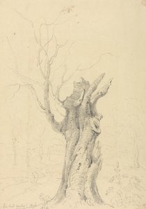 Dans le parc de Lord Yarborough, Appuldurcombe, Île de Wight - Capt. Thomas Hastings