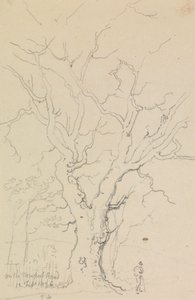 Sur la route de Newport, 12 février 1826 - Capt. Thomas Hastings