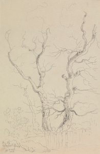 Sur la route de Newport, Île de Wight - Capt. Thomas Hastings