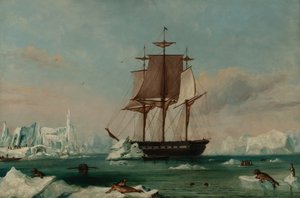 USS Vincennes dans la baie de Déception (huile sur toile) - Captain Charles (attributed to) Wilkes
