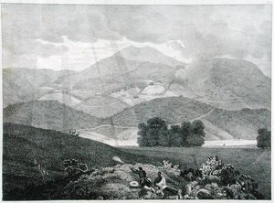 Vue d