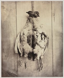 Perdrix recto, vers 1861