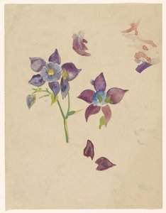 Étude de fleurs