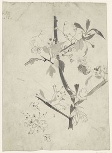Branche avec fleur - Carel Adolph Lion Cachet