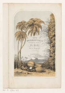 Paysage tropical