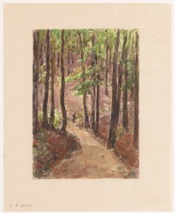 Chemin forestier à travers les collines de Baden-Baden