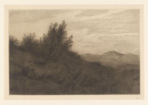 Paysage de dunes - Carel Nicolaas Storm van 
