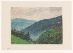 Paysage vallonné près de Baden-Baden