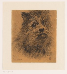 Étude de portrait du chien Jimmy