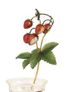 Étude de fraises sauvages, Saint-Pétersbourg, c.1900
