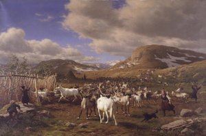 Un troupeau de rennes conduit à la place de traite. Motif des hautes montagnes au nord de Røros