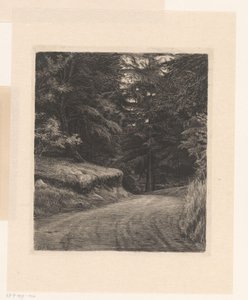 Chemin forestier