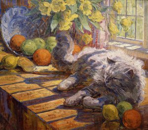 Bain de soleil
