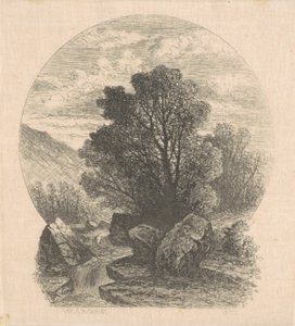 Petite cascade