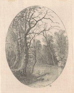 Sur Laurel Creek