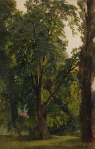 Bois à Konigswusterhausen