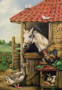 Amis de la ferme - Carl Donner