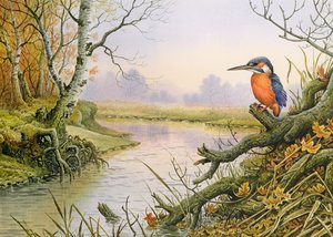 Martin-pêcheur : scène de rivière en automne