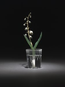 Muguet, fin 1800s-début 1900s
