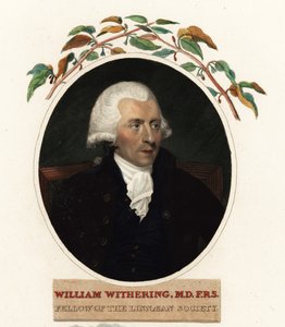 Portrait de William Withering, médecin et botaniste - Carl Frederik van (after) Breda