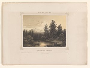 Vue d