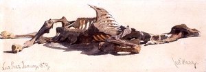 Chameau mort près de Suez