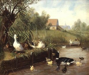 Canards sur la rive
