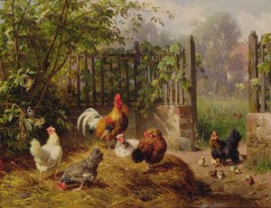 Coq avec poules et poussins