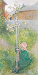 Fleur de pommier, 1894
