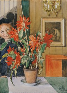 Le Cactus de Brita, 1904
