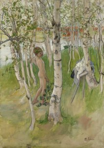 Garçon nu parmi les bouleaux, 1898