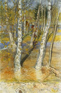 Crue de Printemps, 1902