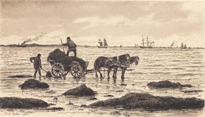 Paysans transportant des algues