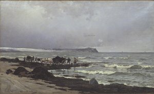 Chargement de varech à la plage de Hornbæk