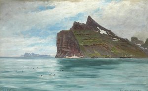 Vue du Cap Nord, Islande, lors du voyage royal danois de 1907 avec le navire à vapeur SS Birma - Carl Locher