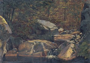 Ruisseau forestier (Cascade entre des rochers) - Carl Morgenstern