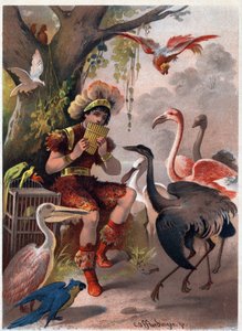 Papageno avec une flûte de Pan apporte les oiseaux de la forêt. Illustration de Carl Offterdinger (1829-1889) dans "La flûte enchantée". Collection privée. - Carl Offterdinger
