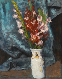 Glaïeul
