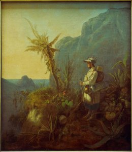 Le naturaliste dans les tropiques