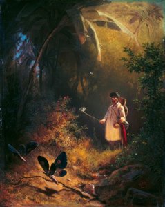 Le Chasseur de papillons