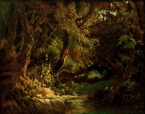 Intérieur de forêt