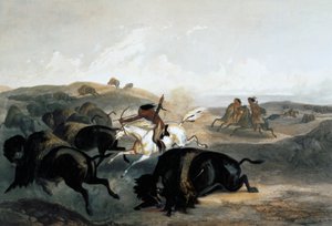 Indiens chassant le bison - Carl Vogel