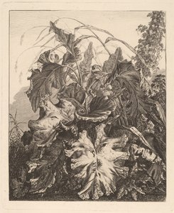 Feuillage avec roseaux