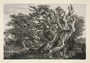 Paysage
