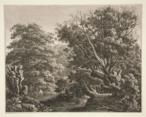 Paysage avec arbre noueux