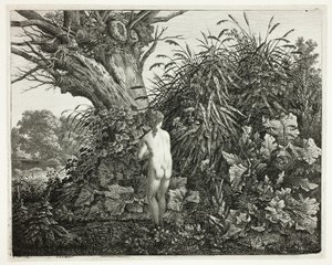 Nymphe dans un bois marécageux