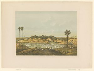 Vue d