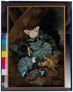 Nature morte de sous-bois avec escargots, serpents, lézards et papillons